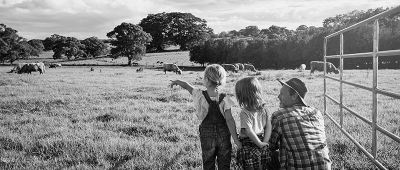 Millennium Farm Insurance